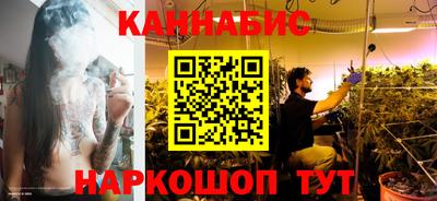 кокс Гатчина