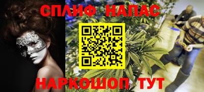 кокс Гатчина