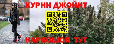 кокс Гатчина