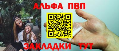 кокс Гатчина