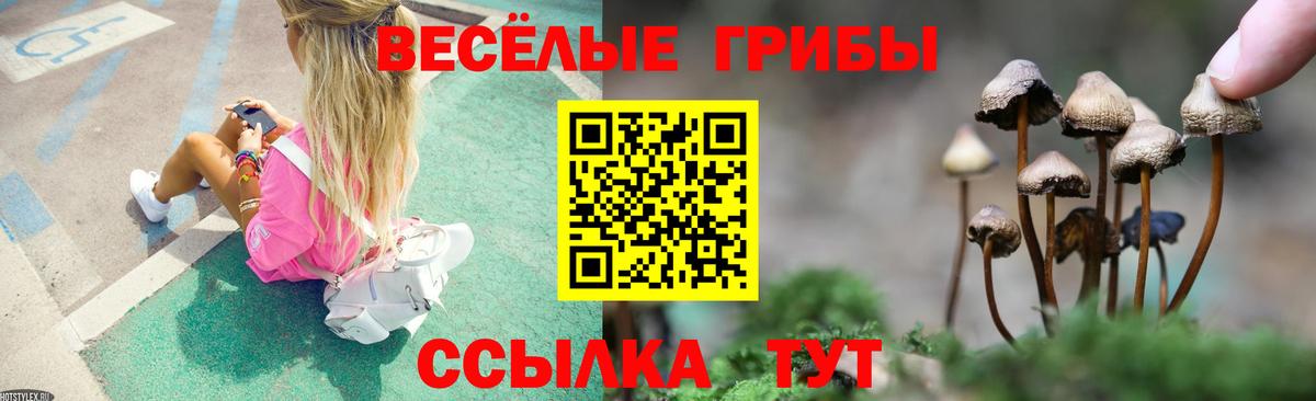 Псилоцибиновые грибы Psilocybine cubensis  Псилоцибиновые грибы MAGIC MUSHROOMS  Вход с VPN  Михайловск 