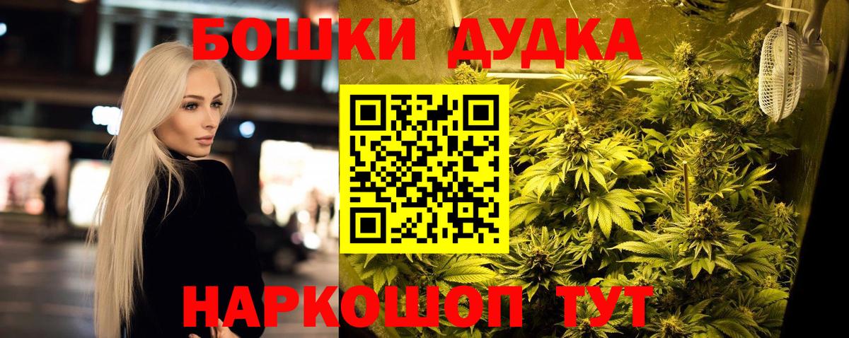 Михайловск  Бошки марихуана марихуана  Вход с VPN  Канабис THC 21%  Конопля гибрид  Конопля конопля 